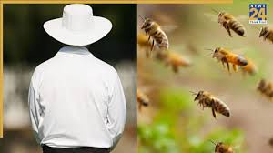 Bee Attack During Cricket Match: क्रिकेट मैच के दौरान मधुमक्खियों का हमला, अंपायर की मौत; कई खिलाड़ी हुए घायल
