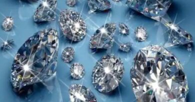 पन्ना में पहली बार होगी संयुक्त हीरा नीलामी, तीन साल बाद रफ्तार पकड़ेगा कारोबार