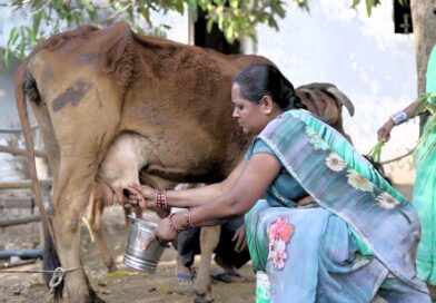आत्मनिर्भरता की मिसाल: औराटोला बना बालोद का पहला लखपति दीदी ग्राम