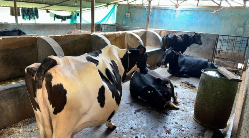 सफलता की कहानी