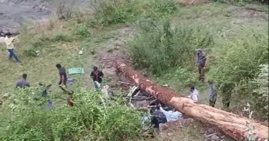 हिमाचल प्रदेश के कुल्लू जिला के अंतर्गत आते आनी क्षेत्र में शनिवार शाम एक हृदयविदारक हादसा पेश आया