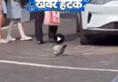 उत्तर प्रदेश में पिटते प्रेमी को बचाने के लिए मंडप छोड़कर दुल्हन बीच में आ गई