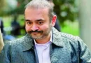 भगोड़े हीरा कारोबारी नीरव मोदी को बैंक ऑफ इंडिया (BoI) को 1.15 करोड़ डॉलर यानी करीब 108 करोड़ रुपए चुकाने होंगे