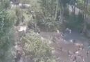 पश्चिम बंगाल पुलिस ने तृणमूल कांग्रेस (TMC) नेता जहांगीर खान की पत्नी सरीना बीबी (37) को  गिरफ्तार किया