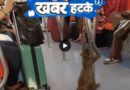 उत्तर प्रदेश में एक व्यक्ति ने ट्रेन की पटरी के किनारे गर्मी से परेशान होकर गमछा लहराया तो ट्रेन के ड्राइवर ने इमरजेंसी ब्रेक लगा दी