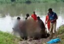 केरल के कोठामंगलम में मुवत्तुपुझा नदी से चार शव बरामद हुए