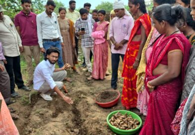 ​धमतरी का ‘नगरी’ बनेगा हल्दी उत्पादन का नया हब: 250 किसानों ने थामा वैज्ञानिक खेती का हाथ, 250 टन पैदावार का लक्ष्य