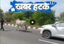 चीन में महिलाएं अपने अंडरआर्म के बाल लाल और पीले रंग में कलर कर रही