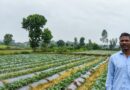 सूक्ष्म सिंचाई योजना से खेती बनी अधिक लाभकारी, ड्रिप सिंचाई अपनाकर किसान ने बढ़ाया सब्जी उत्पादन