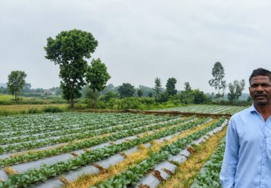 सूक्ष्म सिंचाई योजना से खेती बनी अधिक लाभकारी, ड्रिप सिंचाई अपनाकर किसान ने बढ़ाया सब्जी उत्पादन