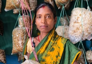 मशरूम और महुआ व्यवसाय ने बदली बबली की जिंदगी