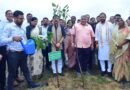 गृह निर्माण मंडल की आवासीय योजनाओं में चलेगा ‘एक पेड़ माँ के नाम’ अभियान