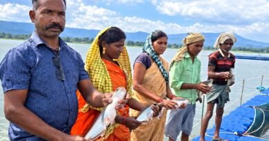 प्रधानमंत्री मत्स्य संपदा योजना से मल्हनिया जलाशय में बदली मछुआरों की जिंदगी