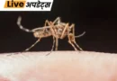 महाराष्ट्र के ठाणे जिले में गुरुवार को 17 साल के लड़के युग धामने की डेंगू से मौत हो गई