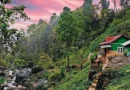 भारत में छुट्टियों को लेकर लोगों का व्यवहार बदल रहा है और यह बदलाव ट्रैवल-हॉस्पिटैलिटी इंडस्ट्री के लिए नया कारोबारी मौका बनता जा रहा