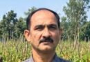 उन्नत टमाटर की खेती से शाहिद की मेहनत लाई रंग, 2 एकड़ में कमाए 1.20 लाख रुपये
