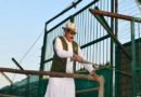 कान्हा टाइगर रिजर्व के सूपखार में सौ साल बाद जंगली भैंसों की वापसी