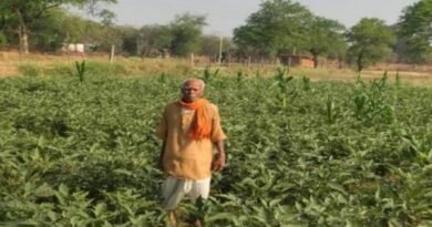 धान की पारंपरिक खेती से आगे बढ़कर फागूराम ने अपनाई ग्राफ्टेड बैंगन की खेती, मुनाफे में हुई 20 हजार रुपये की बढ़ोतरी