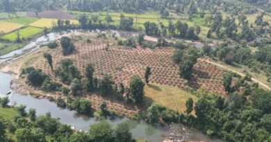 जल संरक्षण से बदलेगी ग्राम दर्री की तस्वीर, 24 लाख 30 हजार लीटर वर्षा जल सहेजने की अनूठी पहल